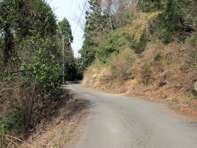 t13_006.jpg