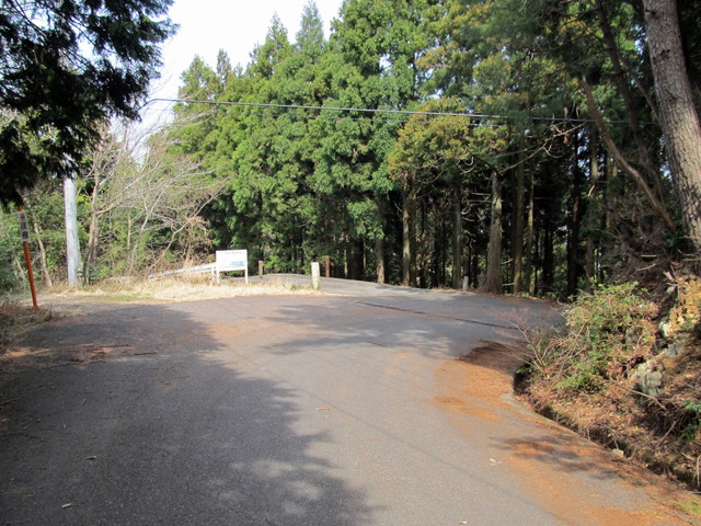 t13_007.jpg