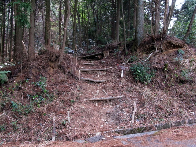 t13_008.jpg