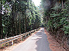 t13_010_thumb.jpg