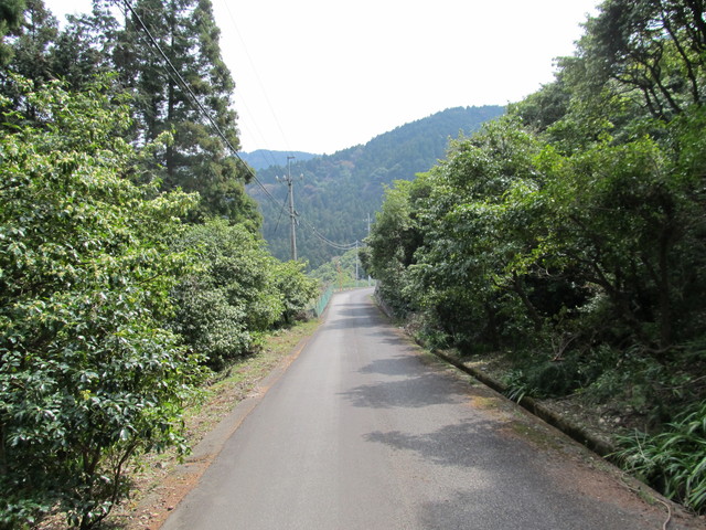 t13_011.jpg