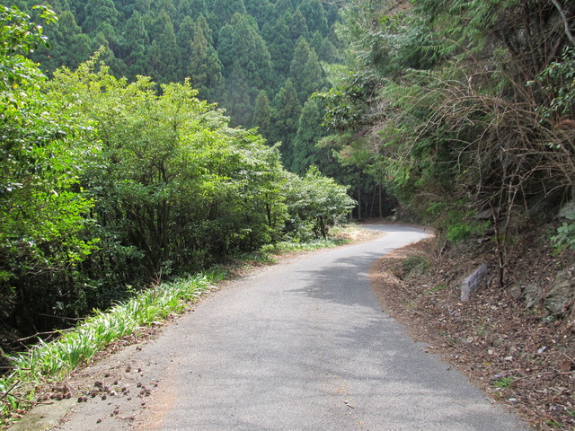 t13_014.jpg