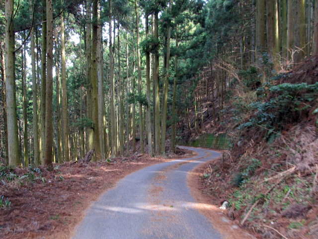 t13_015.jpg