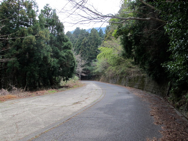 t13_017.jpg