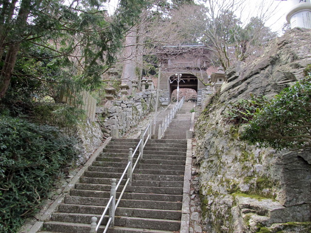 t13_023.jpg