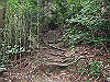 t13_030_thumb.jpg
