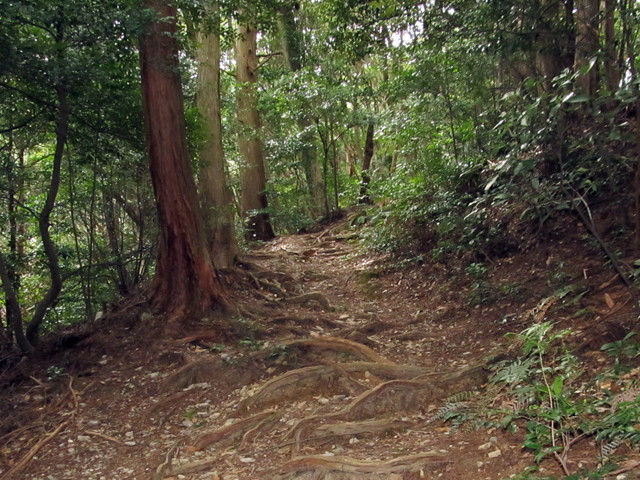 t13_031.jpg