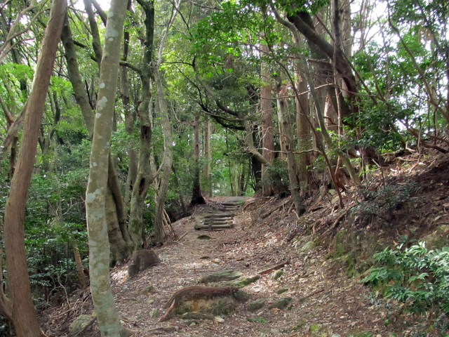 t13_032.jpg