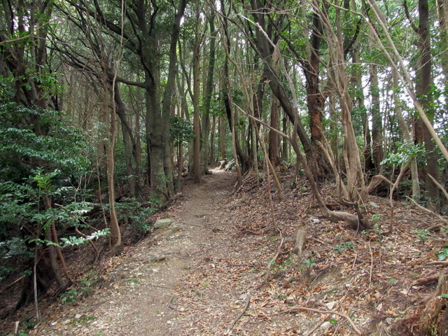 t13_034.jpg