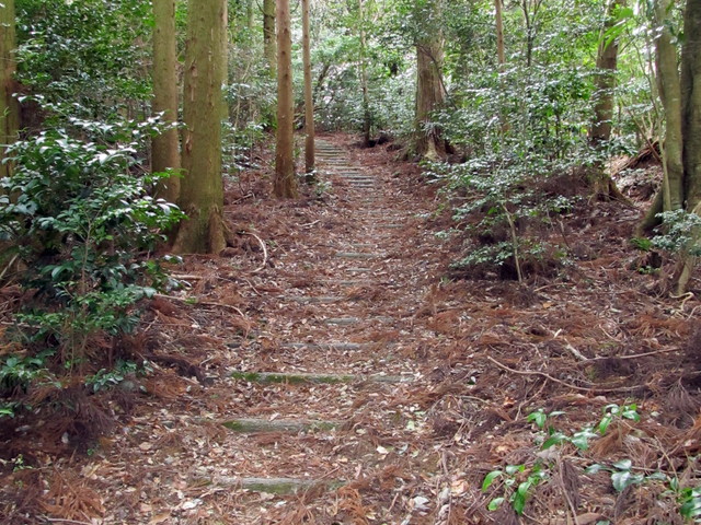 t13_036.jpg