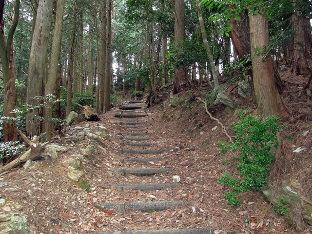 t13_040.jpg