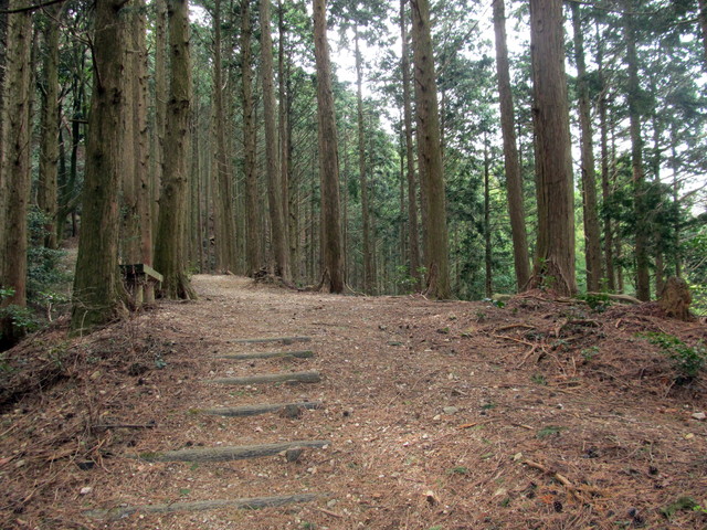 t13_042.jpg