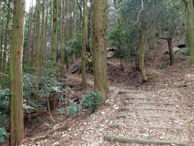 t13_044.jpg