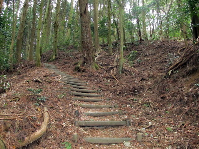 t13_045.jpg
