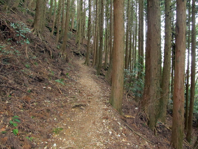 t13_049.jpg