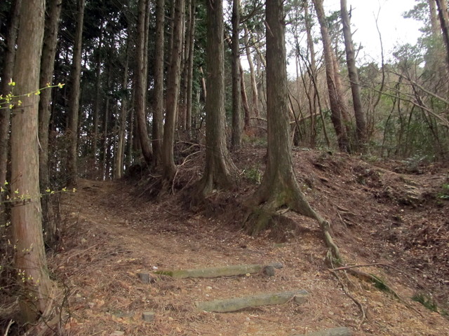 t13_053.jpg