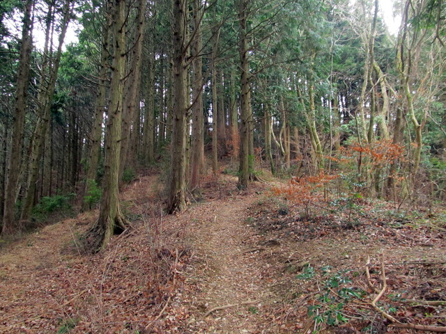 t13_054.jpg