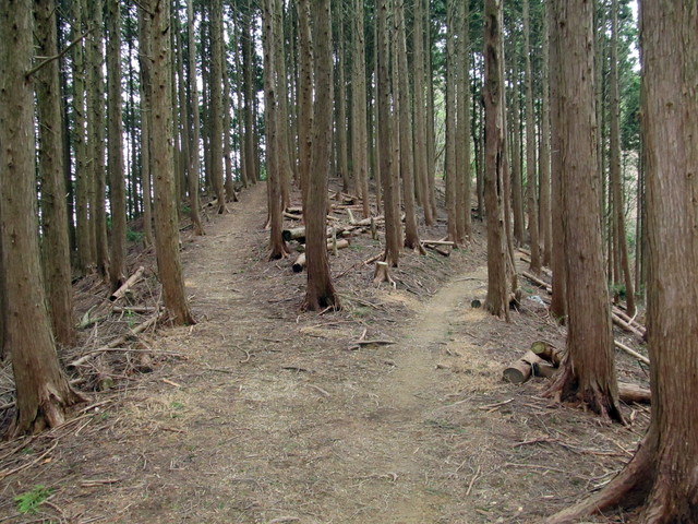 t13_057.jpg