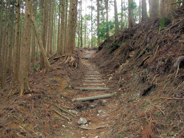 t13_062.jpg