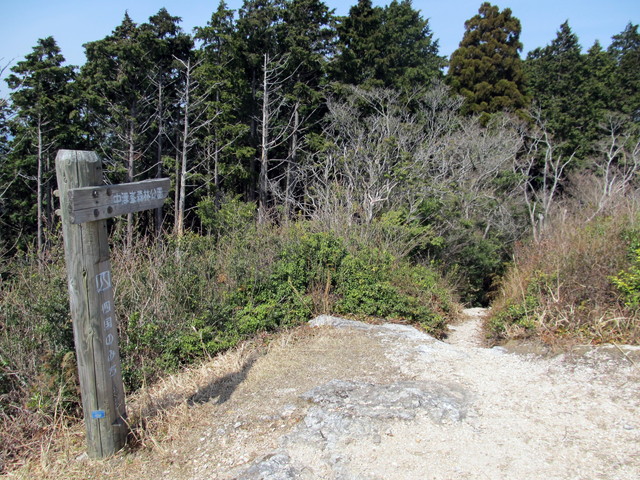 t13_074.jpg