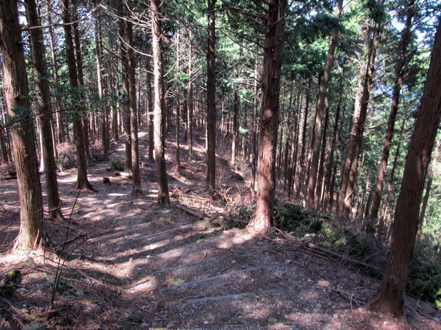 t13_077.jpg
