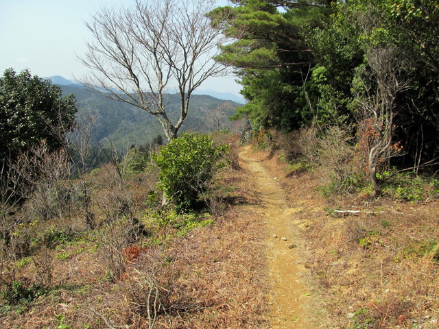 t13_086.jpg