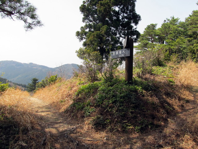 t13_088.jpg