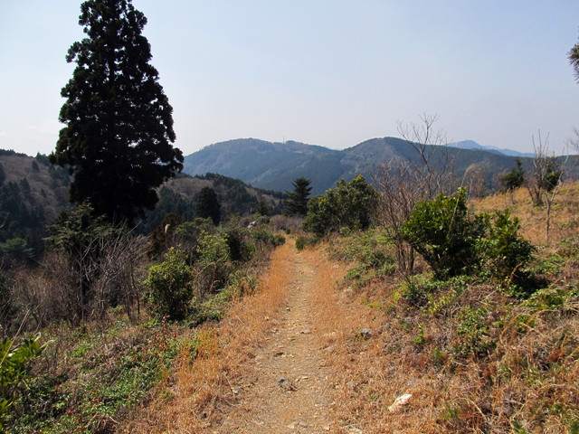 t13_089.jpg