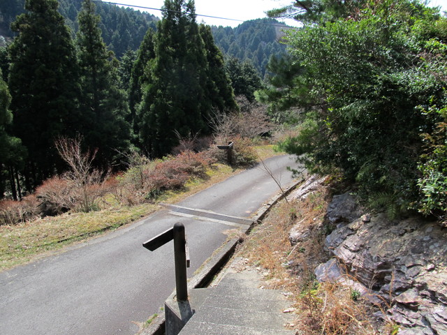 t13_091.jpg