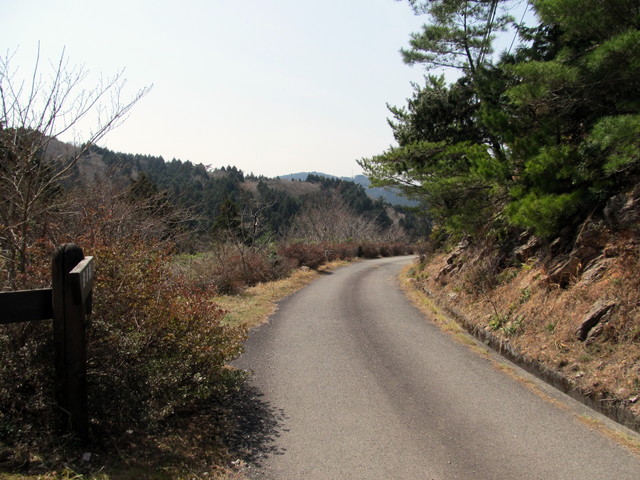 t13_093.jpg