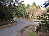 t13_101_thumb.jpg