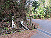 t13_102_thumb.jpg