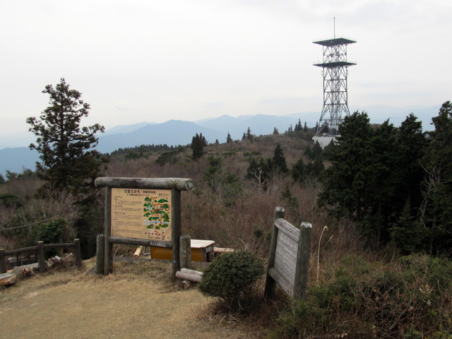 t13_103.jpg