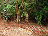 t13_107_thumb.jpg