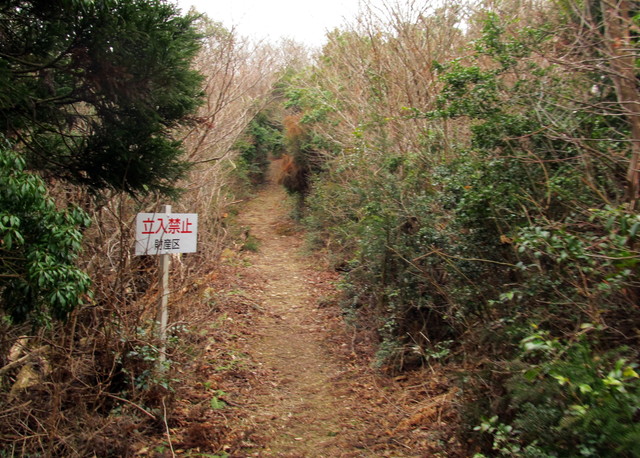 t13_110.jpg