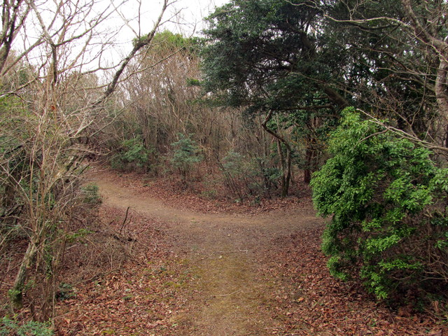 t13_111.jpg