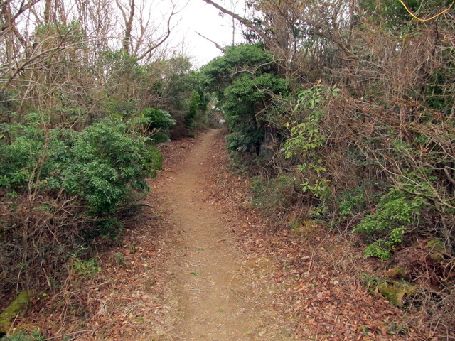 t13_113.jpg