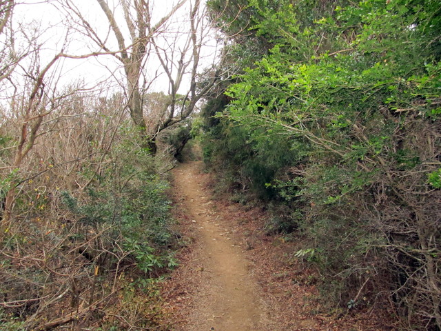 t13_114.jpg