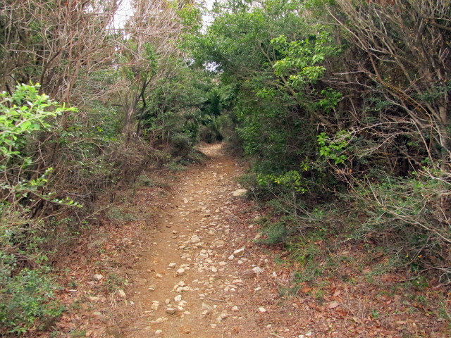 t13_115.jpg
