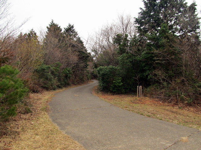 t13_118.jpg