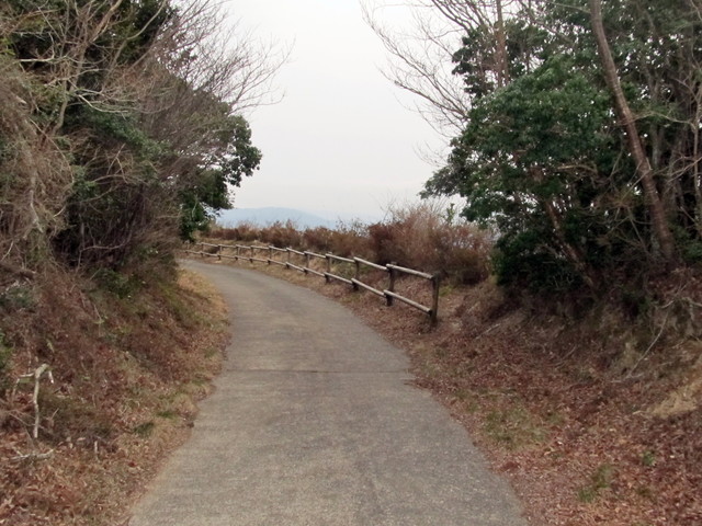 t13_119.jpg
