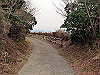 t13_119_thumb.jpg