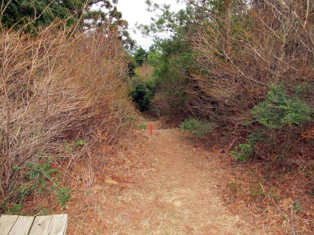 t13_122.jpg