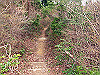 t13_123_thumb.jpg