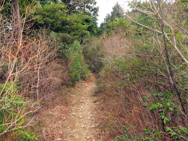t13_124.jpg