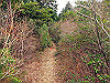 t13_124_thumb.jpg