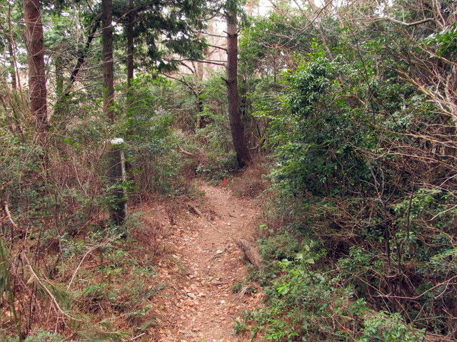 t13_125.jpg