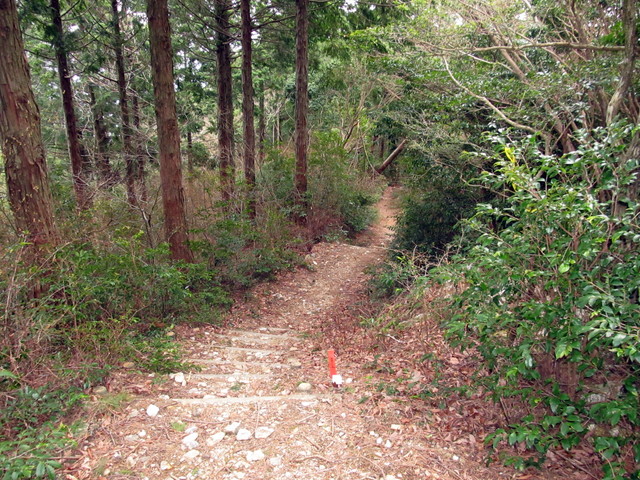 t13_126.jpg
