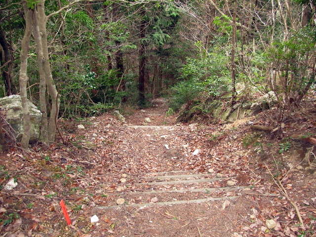 t13_127.jpg