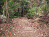 t13_127_thumb.jpg